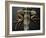 Shabango, an 8-Year-Old Iguana-Carolyn Kaster-Framed Photographic Print