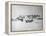 Shackleton's Base Camp on the Ross Ice Shelf-null-Framed Premier Image Canvas