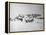 Shackleton's Base Camp on the Ross Ice Shelf-null-Framed Premier Image Canvas