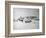 Shackleton's Base Camp on the Ross Ice Shelf-null-Framed Photographic Print