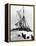 Shackleton's "Endurance-null-Framed Premier Image Canvas