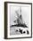 Shackleton's "Endurance-null-Framed Photographic Print