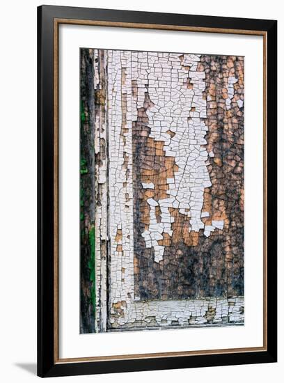 Shackscape #1-Steven Maxx-Framed Premium Photographic Print