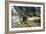 Shade in Olive Grove-Francesco Vinea-Framed Giclee Print