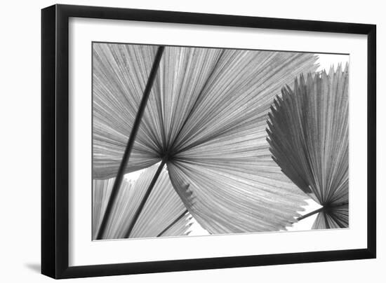 Shade-Ella Lancaster-Framed Giclee Print