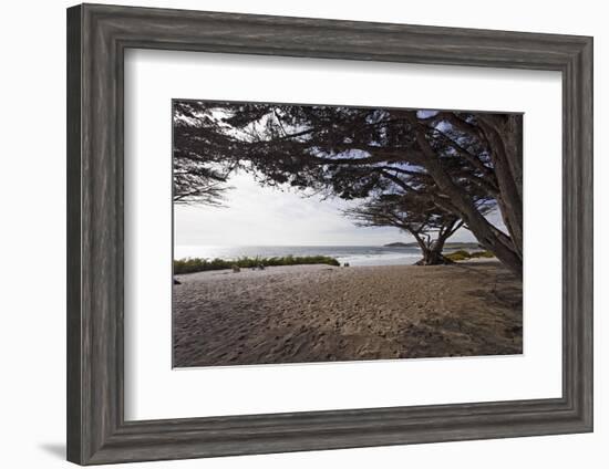 Shaded Beach, Carmel by the Sea, California-George Oze-Framed Photographic Print