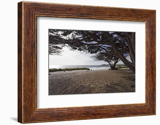 Shaded Beach, Carmel by the Sea, California-George Oze-Framed Photographic Print