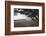 Shaded Beach, Carmel by the Sea, California-George Oze-Framed Photographic Print