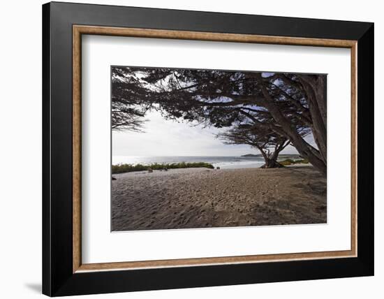 Shaded Beach, Carmel by the Sea, California-George Oze-Framed Photographic Print