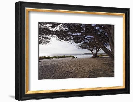 Shaded Beach, Carmel by the Sea, California-George Oze-Framed Photographic Print