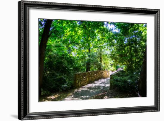 Shaded Bridge I-Alan Hausenflock-Framed Photo