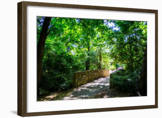 Shaded Bridge I-Alan Hausenflock-Framed Photo