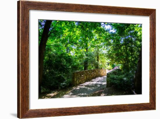 Shaded Bridge I-Alan Hausenflock-Framed Photo