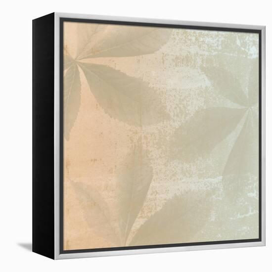 Shaded Leaves 1-Alonza Saunders-Framed Stretched Canvas