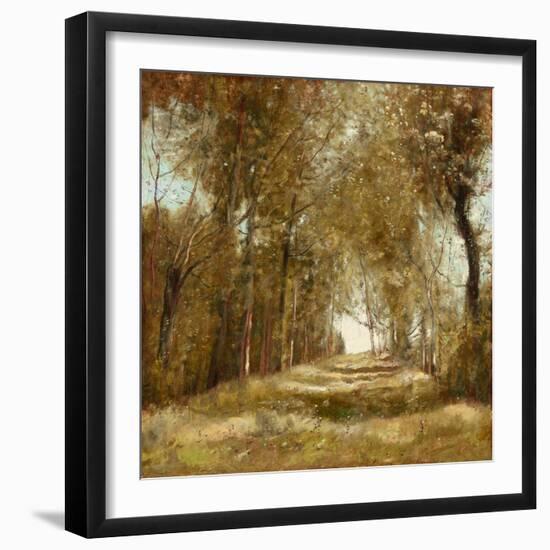 Shaded Path I-Christy McKee-Framed Art Print