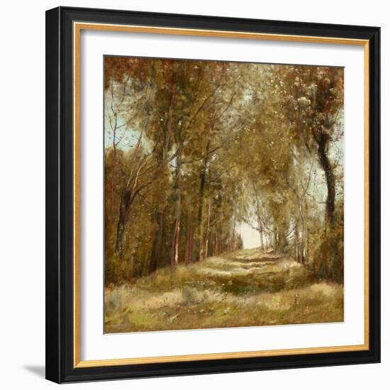 Shaded Path I-Christy McKee-Framed Art Print