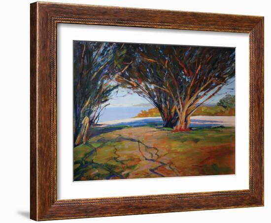 Shaded Path-Sokol Hohne-Framed Art Print