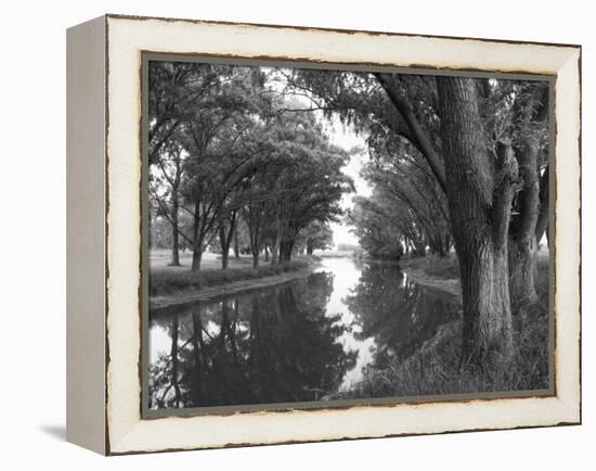 Shaded River in the Pampa Region, Argentina-Michele Molinari-Framed Premier Image Canvas