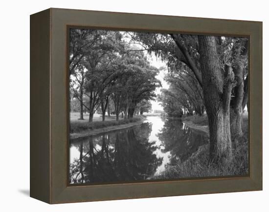 Shaded River in the Pampa Region, Argentina-Michele Molinari-Framed Premier Image Canvas