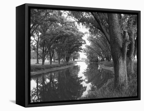 Shaded River in the Pampa Region, Argentina-Michele Molinari-Framed Premier Image Canvas