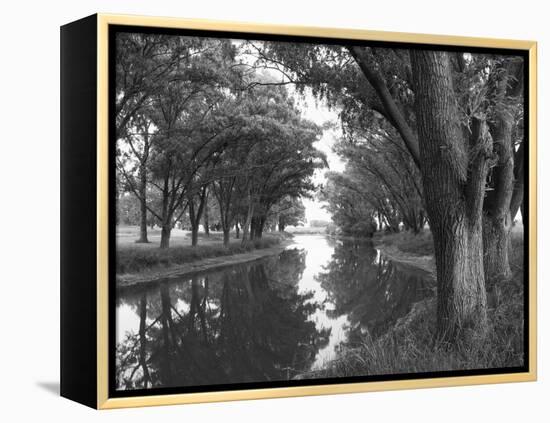 Shaded River in the Pampa Region, Argentina-Michele Molinari-Framed Premier Image Canvas