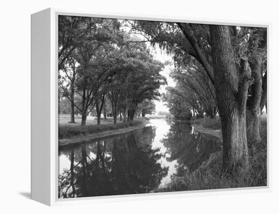 Shaded River in the Pampa Region, Argentina-Michele Molinari-Framed Premier Image Canvas