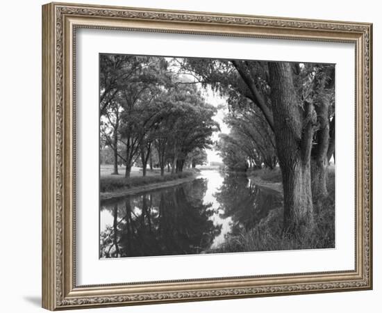 Shaded River in the Pampa Region, Argentina-Michele Molinari-Framed Photographic Print