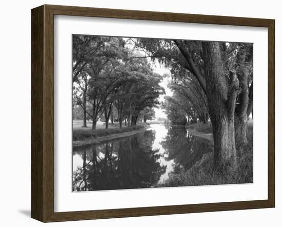 Shaded River in the Pampa Region, Argentina-Michele Molinari-Framed Photographic Print