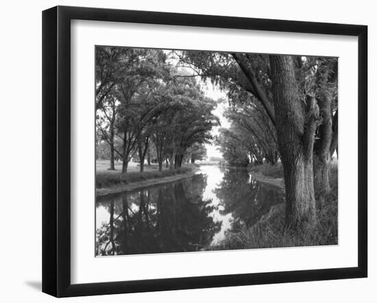 Shaded River in the Pampa Region, Argentina-Michele Molinari-Framed Photographic Print