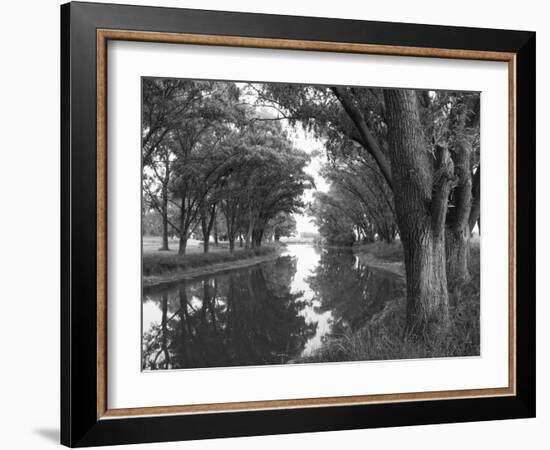 Shaded River in the Pampa Region, Argentina-Michele Molinari-Framed Photographic Print