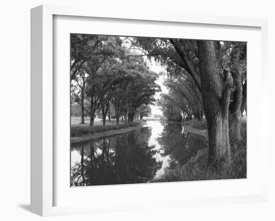 Shaded River in the Pampa Region, Argentina-Michele Molinari-Framed Photographic Print