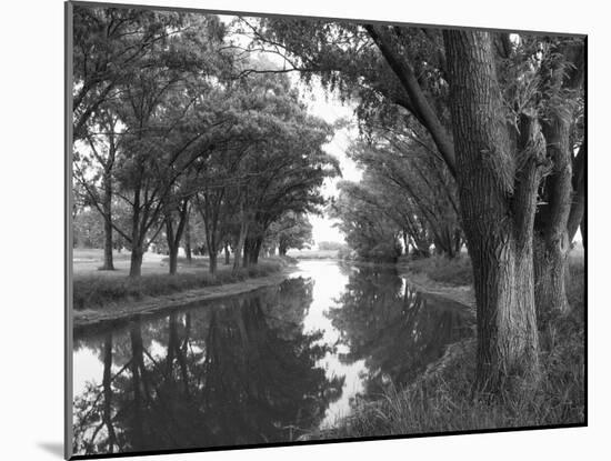 Shaded River in the Pampa Region, Argentina-Michele Molinari-Mounted Photographic Print
