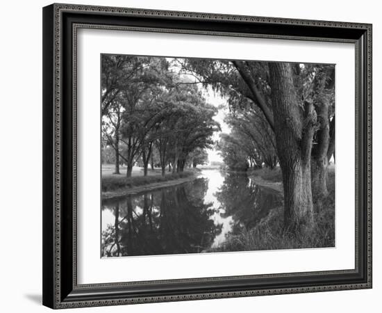 Shaded River in the Pampa Region, Argentina-Michele Molinari-Framed Photographic Print