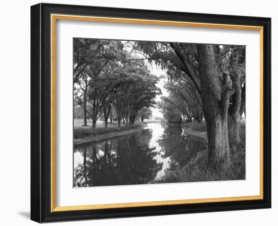 Shaded River in the Pampa Region, Argentina-Michele Molinari-Framed Photographic Print