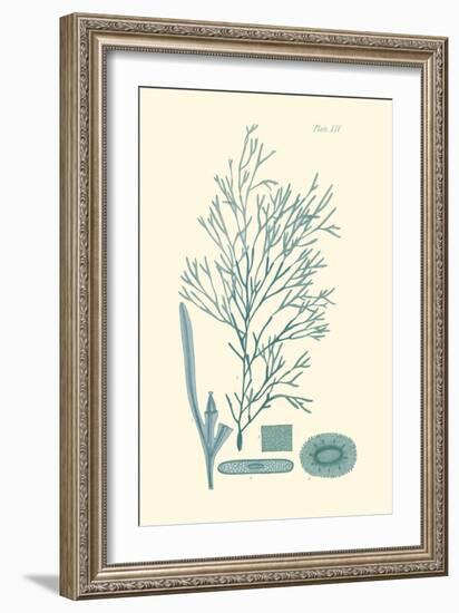 Shades of Aqua I-Vision Studio-Framed Art Print