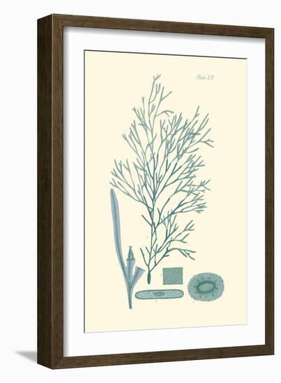 Shades of Aqua I-Vision Studio-Framed Art Print