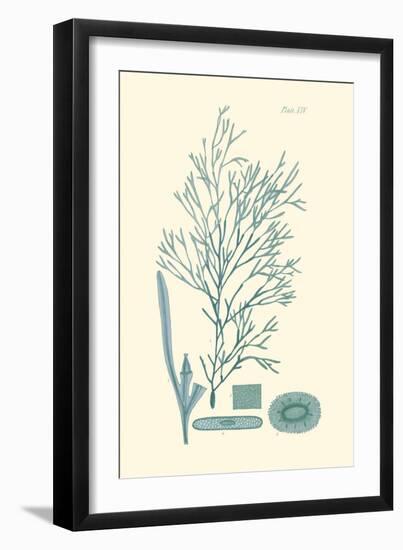 Shades of Aqua I-Vision Studio-Framed Art Print