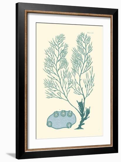 Shades of Aqua II-Vision Studio-Framed Art Print