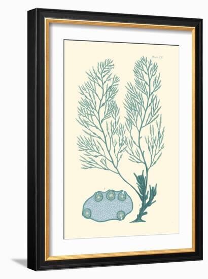 Shades of Aqua II-Vision Studio-Framed Art Print