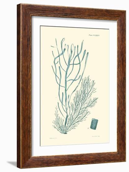 Shades of Aqua III-Vision Studio-Framed Art Print