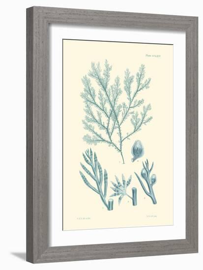 Shades of Aqua IV-Vision Studio-Framed Premium Giclee Print