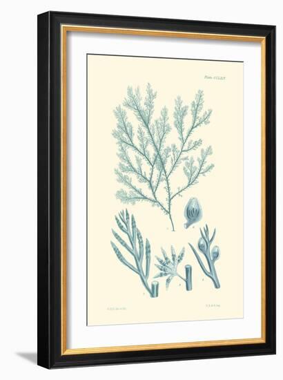 Shades of Aqua IV-Vision Studio-Framed Premium Giclee Print