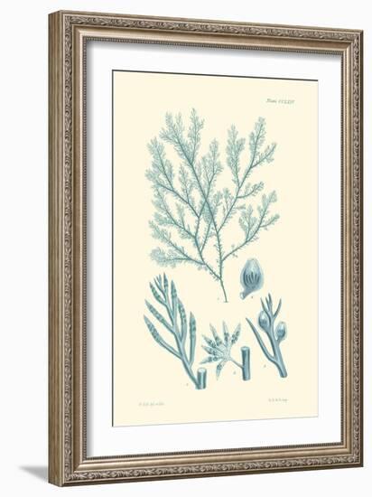 Shades of Aqua IV-Vision Studio-Framed Art Print