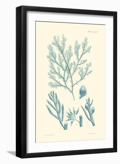 Shades of Aqua IV-Vision Studio-Framed Art Print