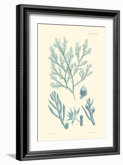 Shades of Aqua IV-Vision Studio-Framed Art Print