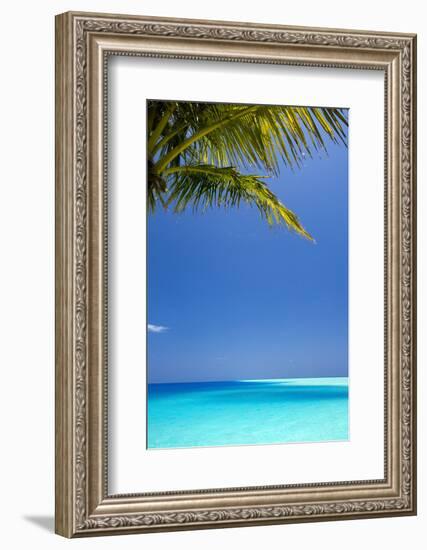 Shades of Blue and Palm Tree, Tropical Beach, Maldives, Indian Ocean, Asia-Sakis-Framed Photographic Print