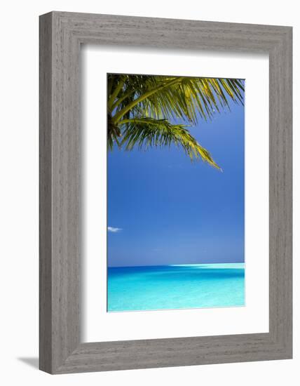 Shades of Blue and Palm Tree, Tropical Beach, Maldives, Indian Ocean, Asia-Sakis-Framed Photographic Print