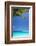 Shades of Blue and Palm Tree, Tropical Beach, Maldives, Indian Ocean, Asia-Sakis-Framed Photographic Print