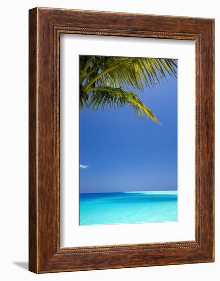 Shades of Blue and Palm Tree, Tropical Beach, Maldives, Indian Ocean, Asia-Sakis-Framed Photographic Print