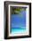 Shades of Blue and Palm Tree, Tropical Beach, Maldives, Indian Ocean, Asia-Sakis-Framed Photographic Print